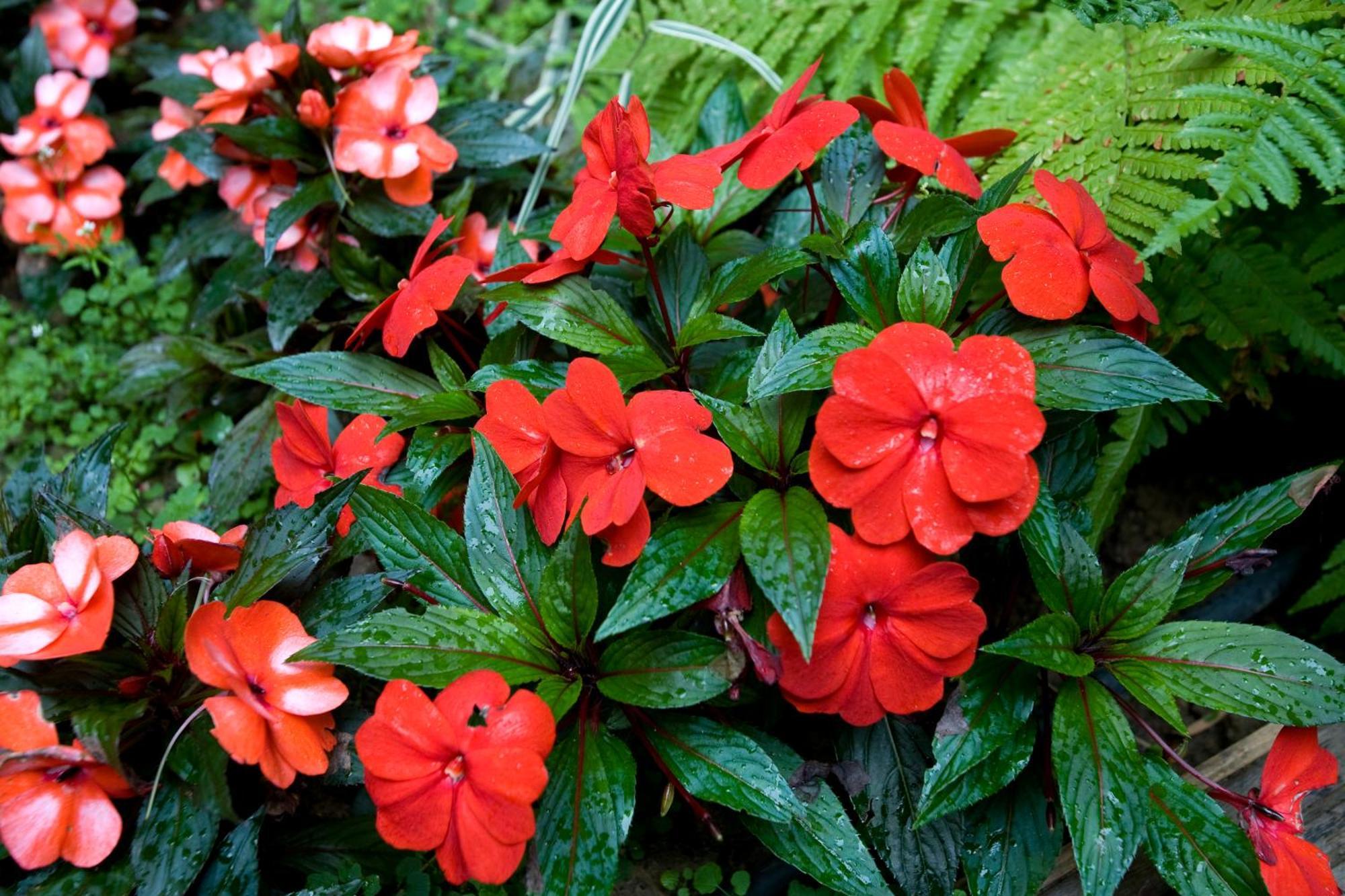 Dièse Bastille Hotel